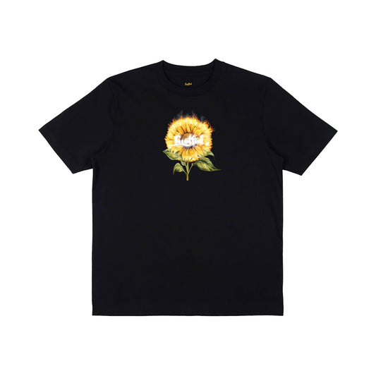 Sunflower in black